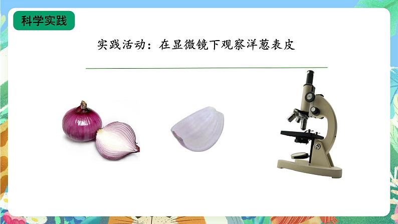 【核心素养新课标】3.9《显微镜下的细胞》课件+教案+素材06