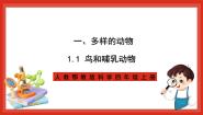 人教鄂教版 (2017)四年级上册第一单元 多样的动物1 鸟和哺乳动物优秀ppt课件