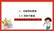 小学科学4 用种子繁殖优质ppt课件