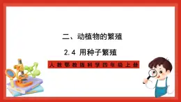 【核心素養(yǎng)新課標(biāo)】2.4《用種子繁殖》課件+教案+素材