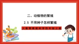 【核心素養(yǎng)新課標(biāo)】2.5《不用種子怎樣繁殖》課件+教案+素材
