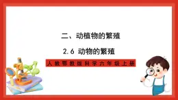 【核心素養(yǎng)新課標(biāo)】2.6《動(dòng)物的繁殖》課件+教案+素材