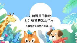 【核心素养新课标】2.5《植物的光合作用》课件+教案+素材