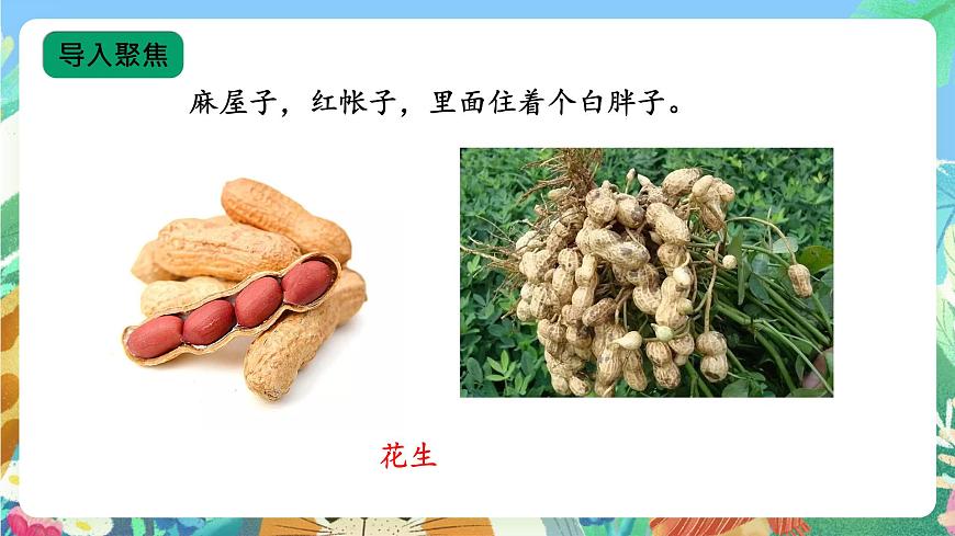 【核心素養(yǎng)新課標(biāo)】1.1《多種多樣的食物》課件第4頁(yè)