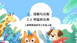 【核心素养新课标】2.6《把盐析出来》课件+教案+素材