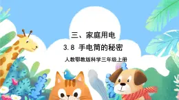 【核心素养新课标】3.8《手电筒的秘密》课件+教案+素材