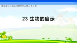 青岛版科学五年级上册 第23课 生物的启示（教学课件）