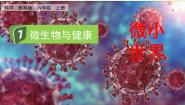 小学科学教科版 (2017)六年级上册7.微生物与健康教课内容ppt课件