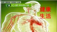 教科版 (2017)五年级上册3.心脏和血液备课ppt课件