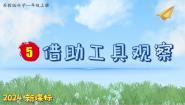 科学一年级上册5 借助工具观察图片ppt课件