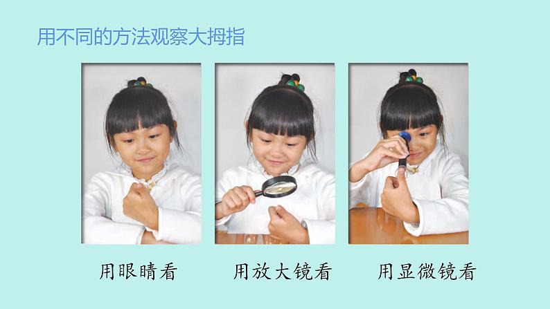 (2024新课标)苏教版科学一年级上册-5 借助工具观察-PPT课件+视频图片素材03