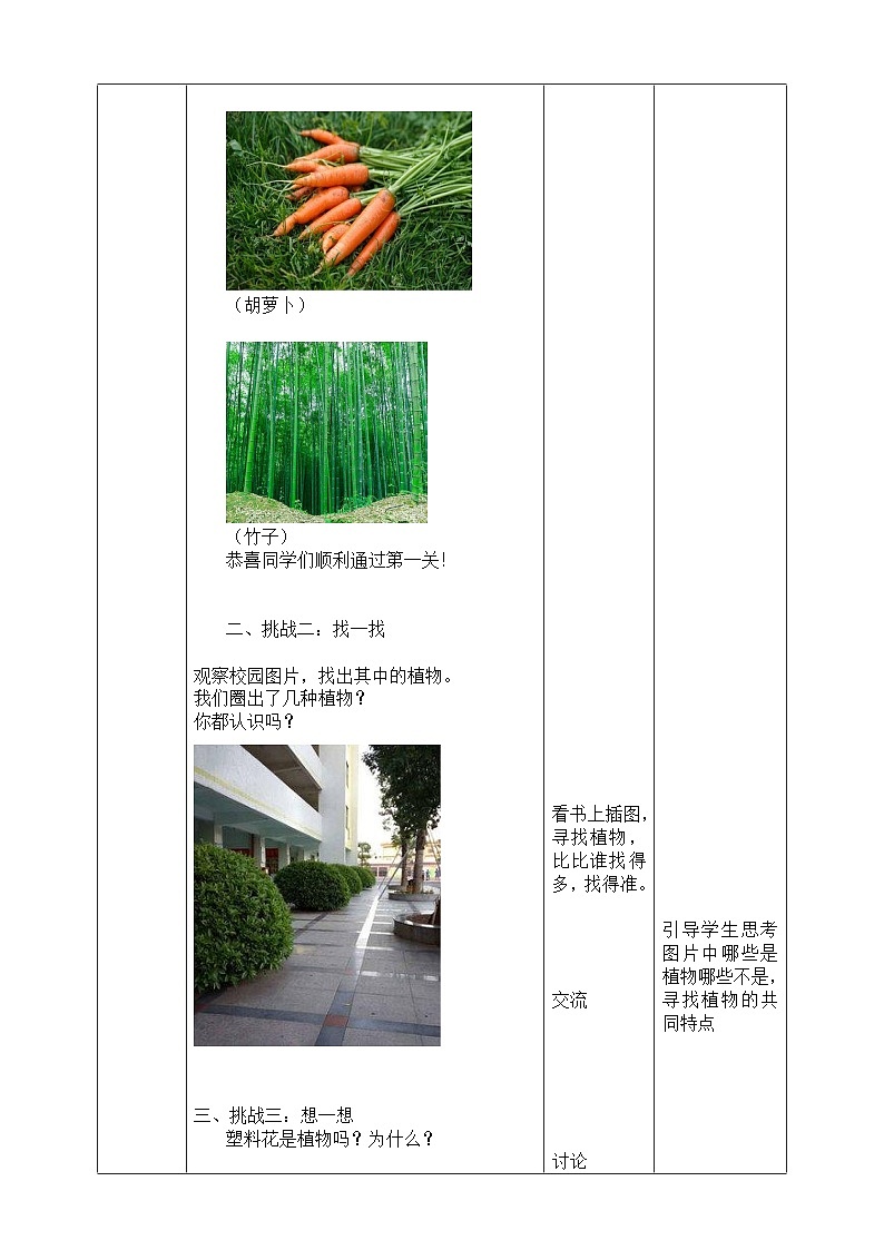 【核心素养】教科版小学科学一上 1.1《我们知道的植物》课件+教案+练习(含答案)02