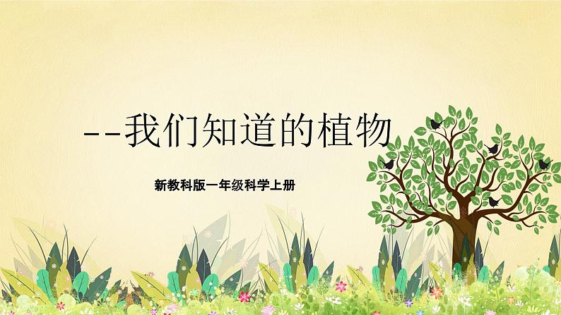 【核心素养】教科版小学科学一上 1.1《我们知道的植物》课件+教案+练习(含答案)01