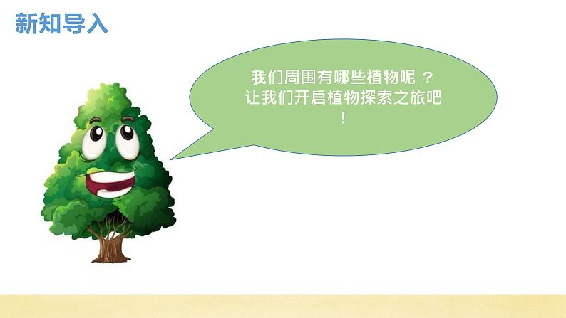 【核心素养】教科版小学科学一上 1.1《我们知道的植物》课件+教案+练习(含答案)03