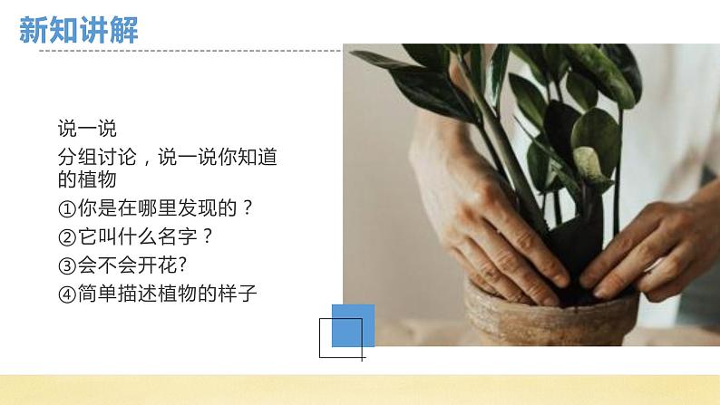 【核心素养】教科版小学科学一上 1.1《我们知道的植物》课件+教案+练习(含答案)04