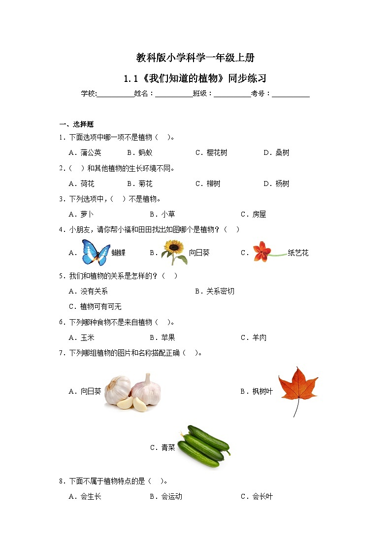 【核心素养】教科版小学科学一上 1.1《我们知道的植物》课件+教案+练习(含答案)01
