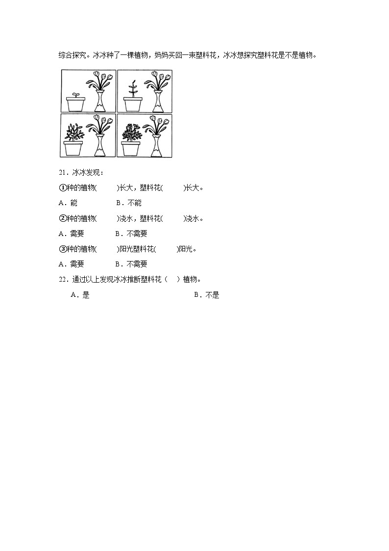 【核心素养】教科版小学科学一上 1.1《我们知道的植物》课件+教案+练习(含答案)03