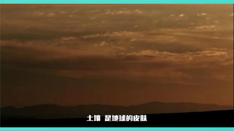1.2 土壤——动植物的乐园第3页