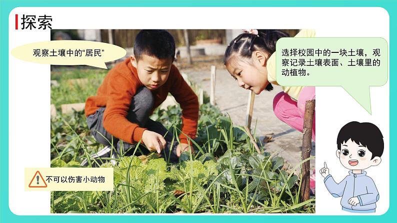 1.2 土壤——动植物的乐园第4页