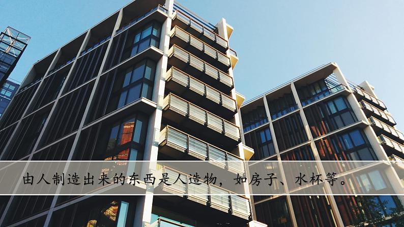 (2024)苏教版科学一年级上册-10 自然物与人造物 PPT课件第3页
