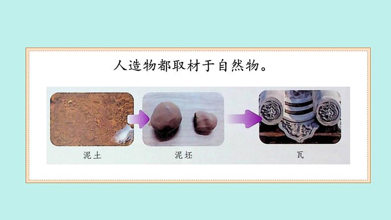 (2024)苏教版科学一年级上册-10 自然物与人造物 PPT课件第7页
