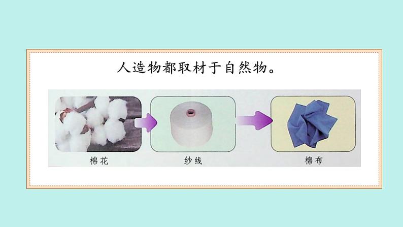 (2024)苏教版科学一年级上册-10 自然物与人造物 PPT课件第8页