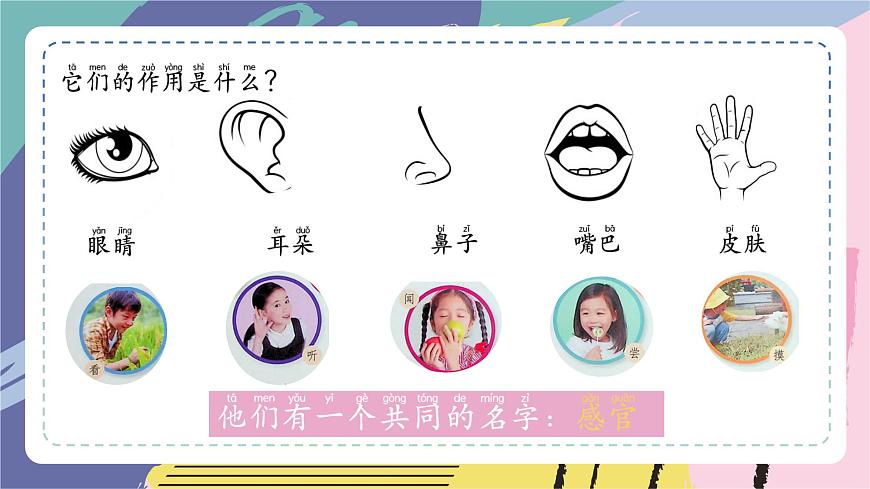 蘇教版一上科學(xué)2.1認(rèn)識感官第3頁