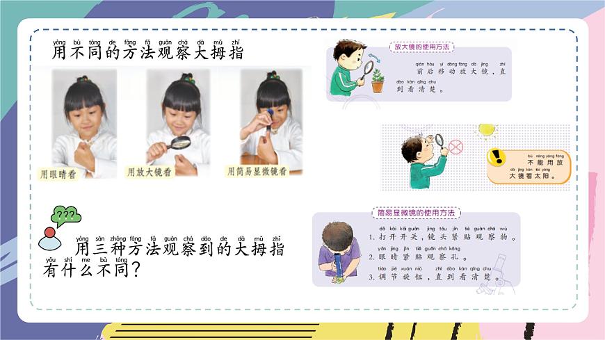 蘇教版一上科學(xué)2.2借助工具觀察第3頁(yè)