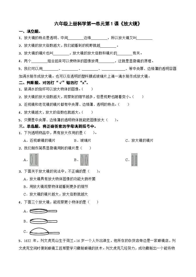 第一单元第1课《放大镜》同步练习-2024-2025学年六年级上册科学(教科版)01