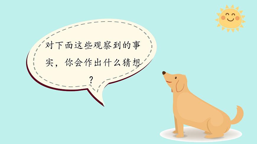 (2024)蘇教版科學(xué)一年級上冊-7 事實與猜想 PPT課件第5頁