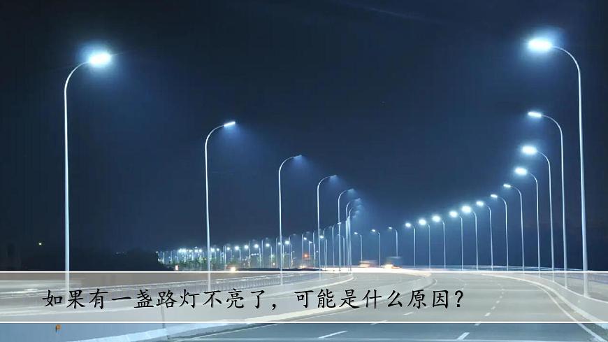 (2024)蘇教版科學(xué)一年級上冊-7 事實與猜想 PPT課件第8頁