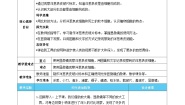 科学六年级上册4.观察洋葱表皮细胞优质第4课时教案