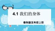 小学科学教科版 (2017)五年级上册1.我们的身体评课ppt课件