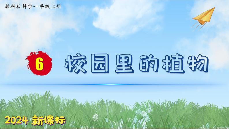 (2024)新教科版科学一年级上册1单元-6 校园里的植物 PPT课件第1页