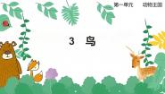 小学科学3 鸟教案配套课件ppt