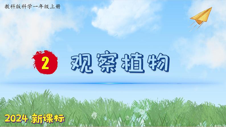 (2024)新教科版科学一年级上册1单元-2观察植物 PPT课件第1页