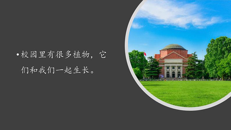 (2024)新教科版科学一年级上册1单元-2观察植物 PPT课件第2页