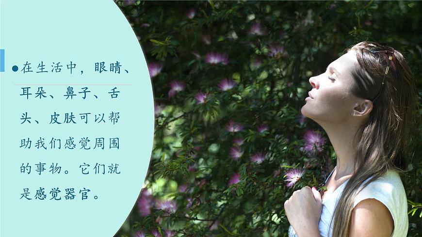 （2024）新教科版科學(xué)一年級(jí)上冊(cè)2單元-1我們的身體 PPT課件第2頁(yè)