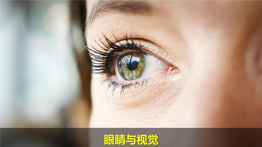 （2024）新教科版科學(xué)一年級(jí)上冊(cè)2單元-1我們的身體 PPT課件第3頁(yè)