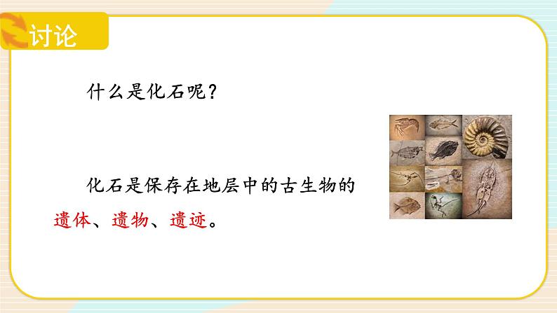 【核心素养】冀人版科学六年级上册3.化石里的古生物 同步课件+同步练习+教学设计06