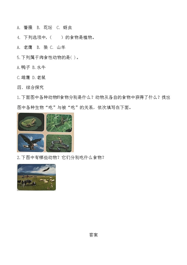 【核心素养】冀人版科学六年级上册13.动物与能量 同步课件+同步练习+教学设计02