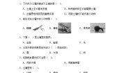 小学科学教科版 (2017)二年级上册2.土壤——动植物的乐园当堂达标检测题