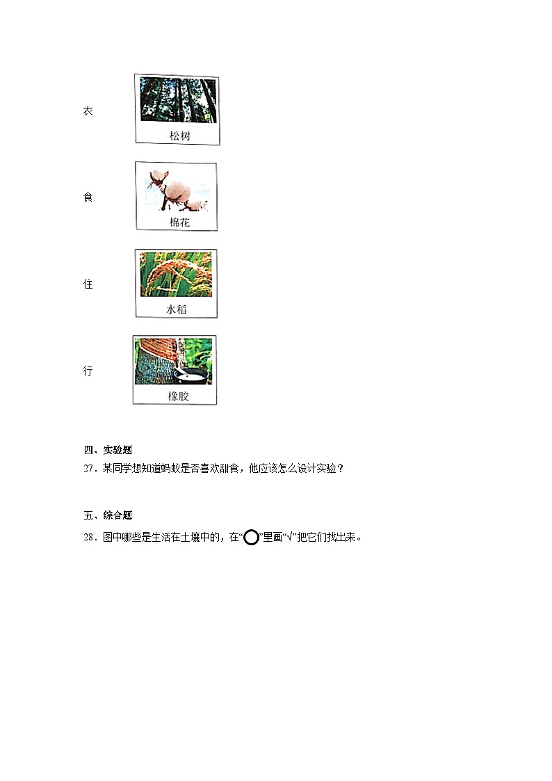 2.《土壤——动植物的乐园》作业03