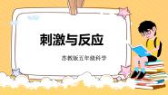 小学科学苏教版 (2017)五年级上册17 刺激与反应精品教学ppt课件