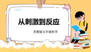 小学科学苏教版 (2017)五年级上册18 从刺激到反应获奖教学课件ppt