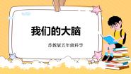 苏教版 (2017)五年级上册第5单元 人体“司令部”19 我们的大脑精品教学课件ppt