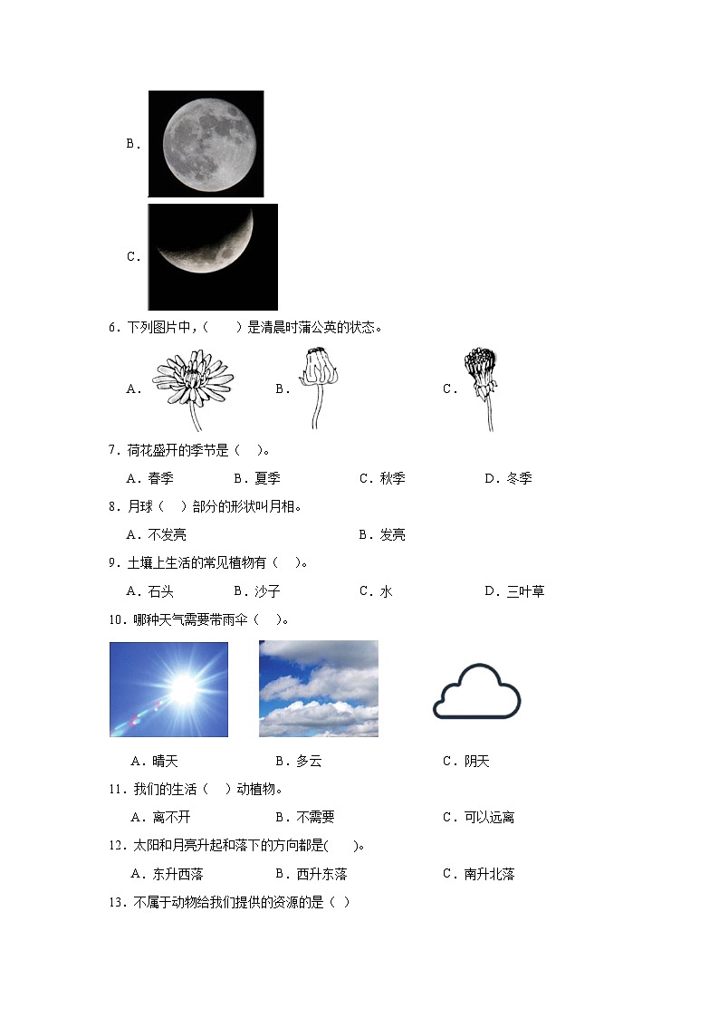 2024-2025学年度小学科学教科版二年级上册第一单元检测卷B02