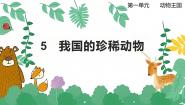 青岛版 (六三制2017)四年级上册5 我国的珍稀动物课文ppt课件