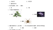 小学科学教科版 (2017)一年级上册2.观察一颗植物测试题
