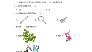 教科版 (2017)一年级上册2.观察一颗植物测试题